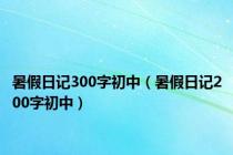 暑假日记300字初中（暑假日记200字初中）