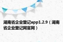 湖南省企业登记app1.2.9（湖南省企业登记网官网）