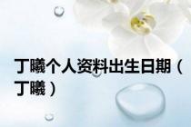 丁曦个人资料出生日期（丁曦）