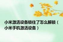 小米激活设备锁住了怎么解锁（小米手机激活设备）