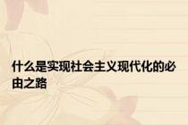 什么是实现社会主义现代化的必由之路