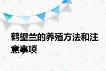鹤望兰的养殖方法和注意事项