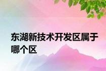 东湖新技术开发区属于哪个区
