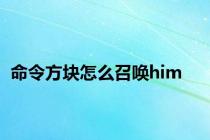 命令方块怎么召唤him