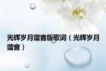 光辉岁月谐音版歌词（光辉岁月谐音）