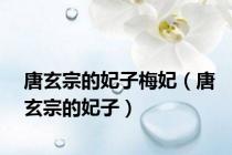 唐玄宗的妃子梅妃（唐玄宗的妃子）