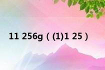 11 256g（(1)1 25）