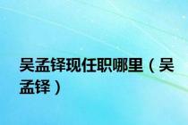 吴孟铎现任职哪里（吴孟铎）