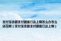 支付宝余额支付额度已达上限怎么办怎么还花呗（支付宝余额支付额度已达上限）