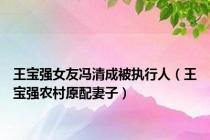 王宝强女友冯清成被执行人（王宝强农村原配妻子）