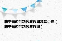 肺宁颗粒的功效与作用及禁忌症（肺宁颗粒的功效与作用）