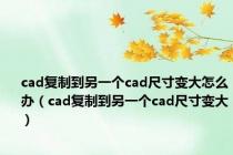 cad复制到另一个cad尺寸变大怎么办（cad复制到另一个cad尺寸变大）