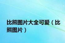 比熊图片大全可爱（比熊图片）