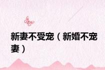 新妻不受宠（新婚不宠妻）