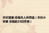 天价宠妻:总裁夫人休想逃（天价小娇妻 总裁的33日索情）