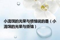小流氓的光荣与烦恼说的是（小流氓的光荣与烦恼）