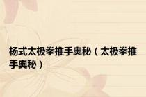 杨式太极拳推手奥秘（太极拳推手奥秘）