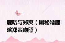 鹿晗与郑爽（曝秘婚鹿晗郑爽吻照）