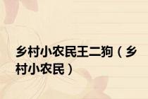 乡村小农民王二狗（乡村小农民）