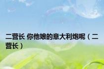 二营长 你他娘的意大利炮呢（二营长）