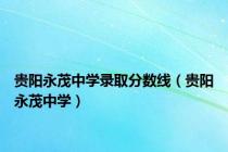 贵阳永茂中学录取分数线（贵阳永茂中学）