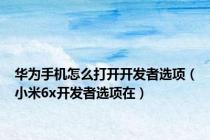 华为手机怎么打开开发者选项（小米6x开发者选项在）