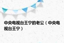 中央电视台王宁的老公（中央电视台王宁）