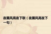 夜黑风高夜下联（夜黑风高夜下一句）