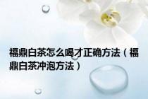 福鼎白茶怎么喝才正确方法（福鼎白茶冲泡方法）