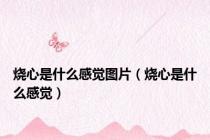 烧心是什么感觉图片（烧心是什么感觉）
