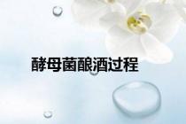酵母菌酿酒过程