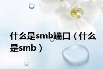 什么是smb端口（什么是smb）