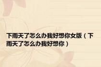 下雨天了怎么办我好想你女版（下雨天了怎么办我好想你）
