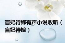 盲妃待嫁有声小说收听（盲妃待嫁）