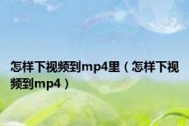 怎样下视频到mp4里（怎样下视频到mp4）