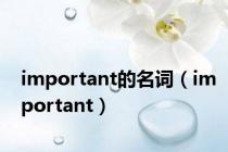 important的名词（important）