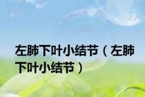 左肺下叶小结节（左肺下叶小结节）