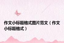 作文小标题格式图片范文（作文小标题格式）