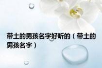 带土的男孩名字好听的（带土的男孩名字）