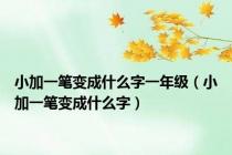 小加一笔变成什么字一年级（小加一笔变成什么字）