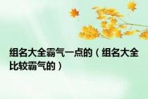 组名大全霸气一点的（组名大全比较霸气的）