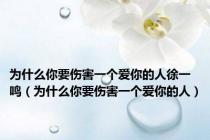 为什么你要伤害一个爱你的人徐一鸣（为什么你要伤害一个爱你的人）