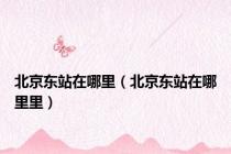 北京东站在哪里（北京东站在哪里里）