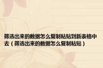 筛选出来的数据怎么复制粘贴到新表格中去（筛选出来的数据怎么复制粘贴）