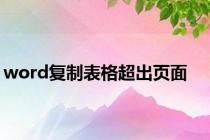 word复制表格超出页面