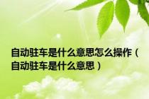 自动驻车是什么意思怎么操作（自动驻车是什么意思）