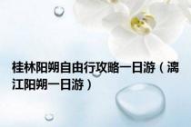 桂林阳朔自由行攻略一日游（漓江阳朔一日游）