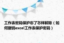 工作表密码保护忘了怎样解除（如何撤销excel工作表保护密码）