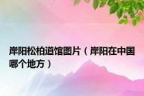 岸阳松柏道馆图片（岸阳在中国哪个地方）