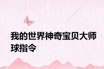 我的世界神奇宝贝大师球指令